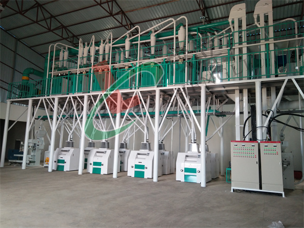 山東青島客戶80噸玉米加工設(shè)備安裝現(xiàn)場