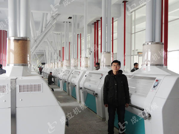 大型日產(chǎn)200噸面粉加工廠設(shè)備，自動化生產(chǎn)線