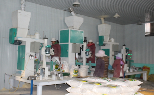 日產(chǎn)30噸玉米加工設(shè)備